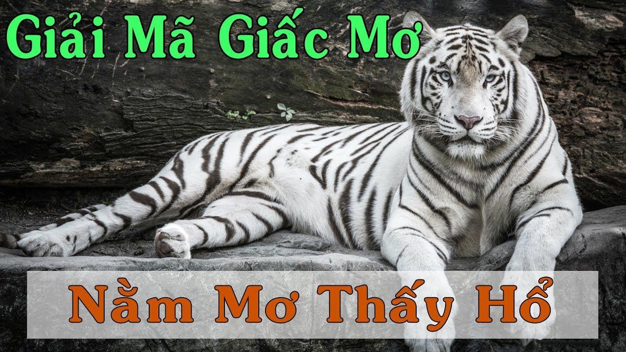 sv88 tv xổ số miền trung
