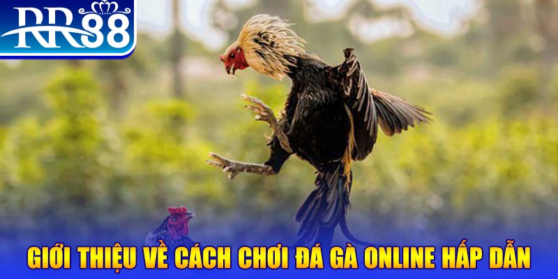 sv88 tv nổ hũ 2 mặt là gì
