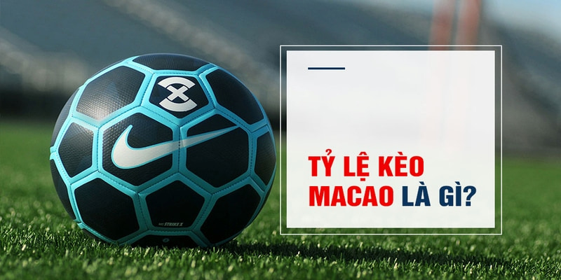 sv88 tv Trăm Knorr